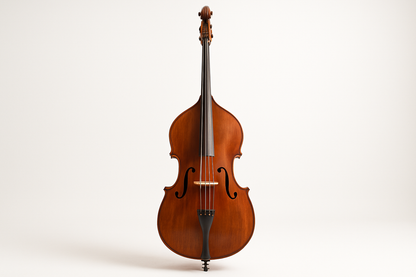 Double Bass on a white background