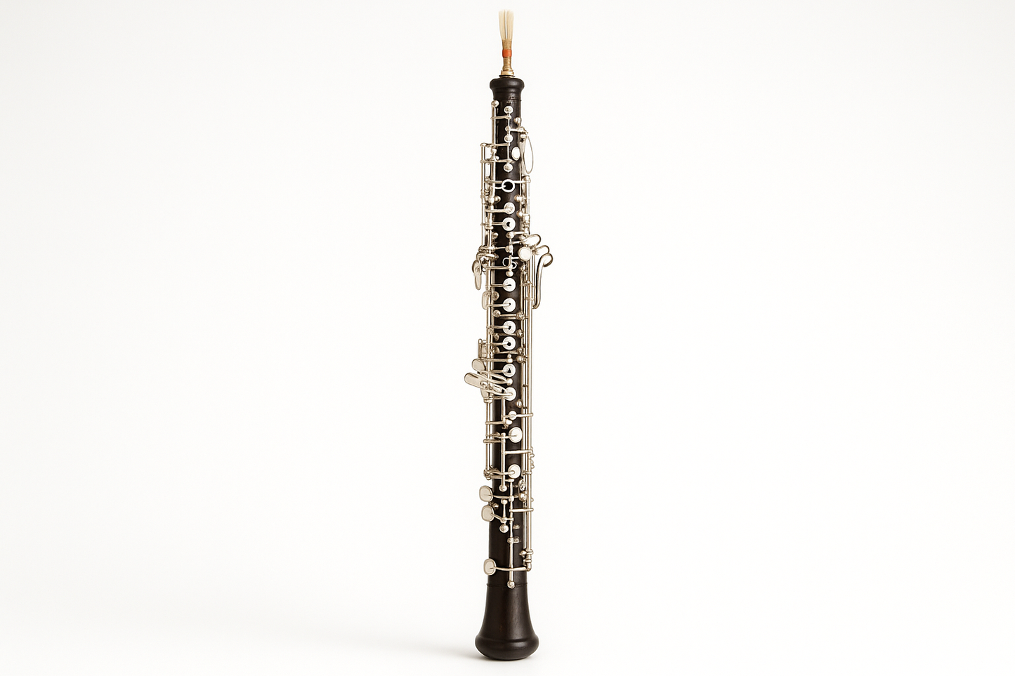 Oboe on a white background